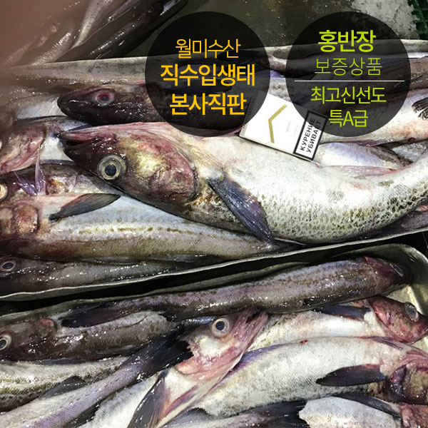 상세 이미지
