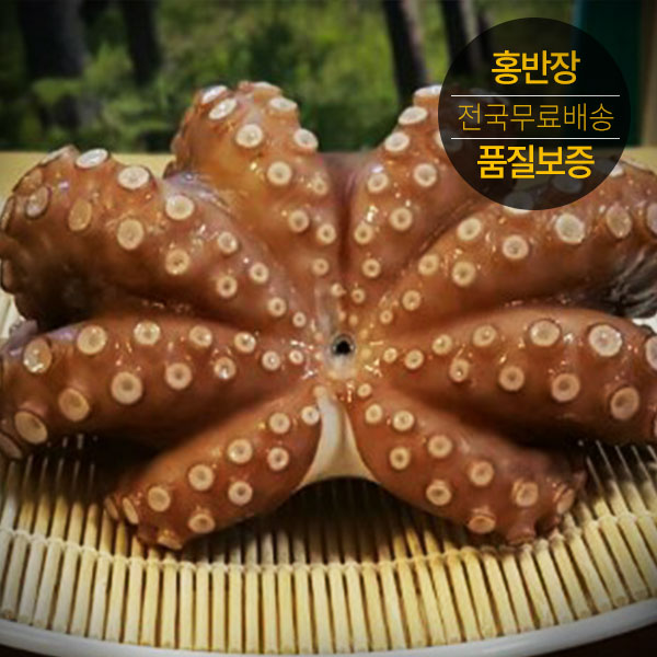 상세 이미지